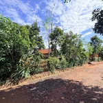 Bán đất 5x28m thổ cư 60m2 đường nhựa 12m Thôn 6 Cuebur, Buôn Ma Thuột - Ảnh thu nhỏ 2