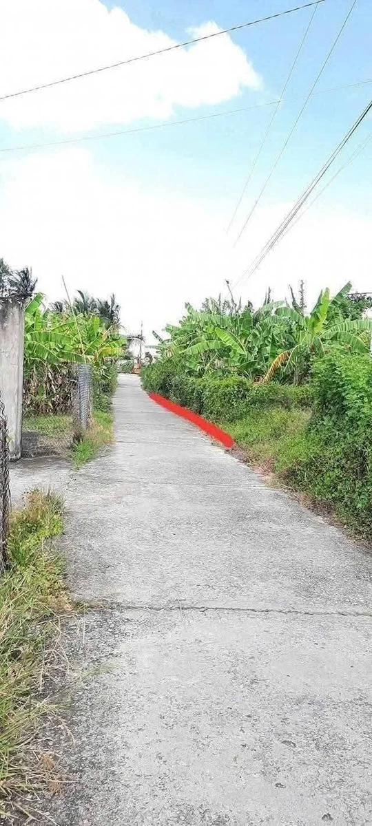 Bán lô đất thổ cư 5x28m (140m²) Châu Thành, Long An - 490 triệu - Ảnh thu nhỏ 2