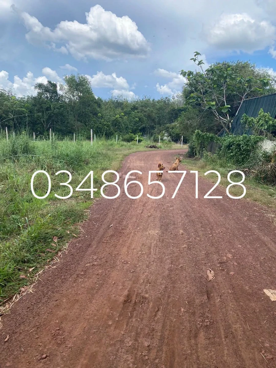Bán đất Phước Thành 1,3 sào (400m²) giá 1,3 tỷ - Ảnh 1