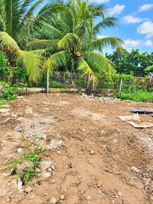 Bán đất nền 59m2 Phường 5, TP Tân An