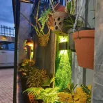 Bán nhà mái thái 288m2 3 phòng ngủ Hoà Long, Bà Rịa - Ảnh thu nhỏ 3