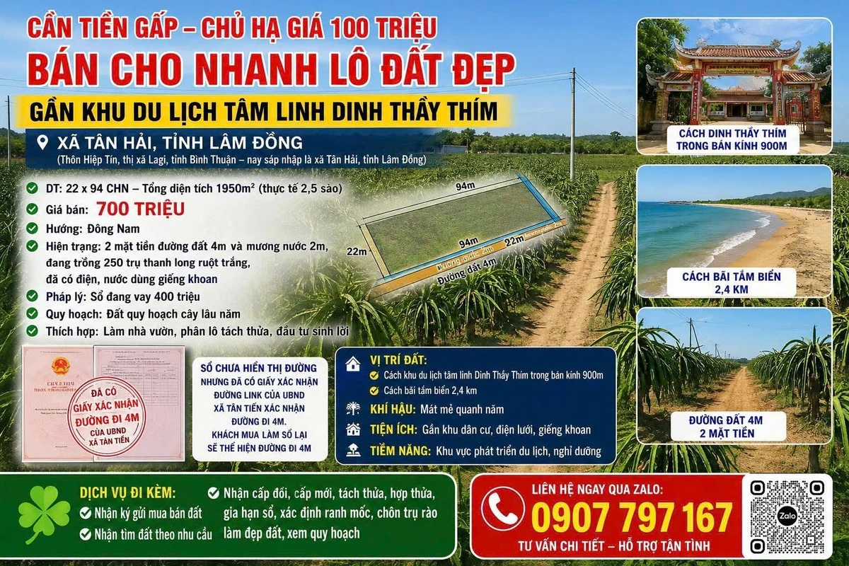 Bán lô đất 1950m² xã Tân Hải Lâm Đồng giá 700 triệu - Ảnh 1
