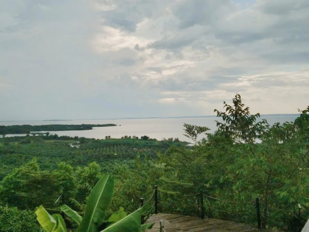Bán đất vườn 1.400m² view Hồ Trị An, Thống Nhất, Đồng Nai - Ảnh thu nhỏ 4