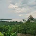 Bán đất vườn 1.400m² view Hồ Trị An, Thống Nhất, Đồng Nai - Ảnh thu nhỏ 4