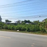 Bán Đất 1053,5 m2 tại Đường Quốc lộ 54, Xã Tân Thành, Huyện Lai Vung, 4,2 tỷ - Ảnh thu nhỏ 7