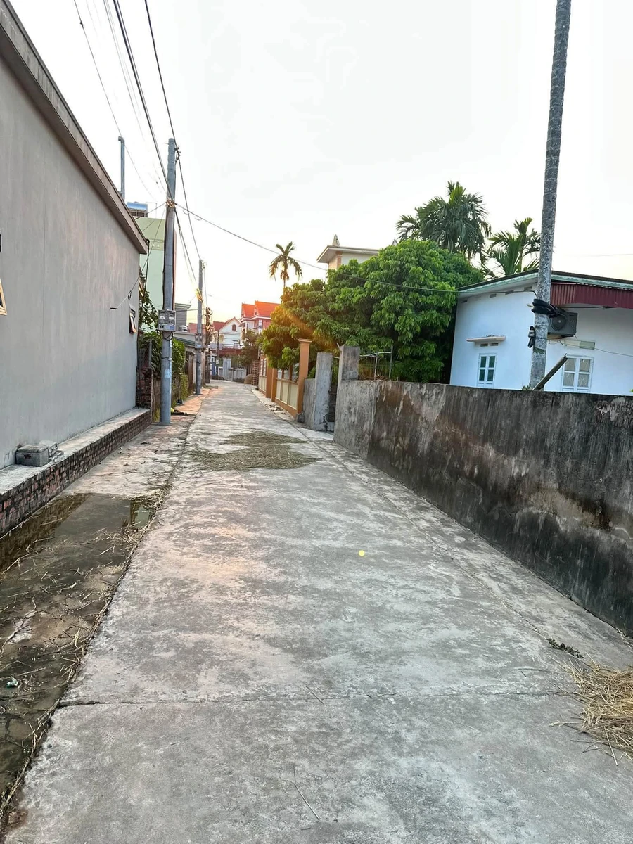 Bán lô đất 123m2 mặt tiền 5.1m ở Ninh Giang, Hải Phòng - Ảnh thu nhỏ 4