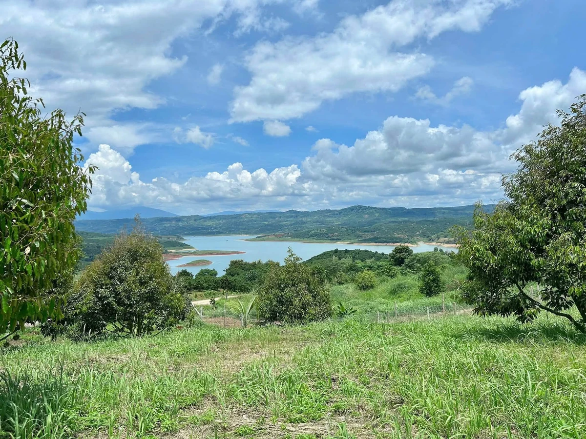 Bán đất sầu riêng Phúc Thọ 1.000m² 950 triệu - Ảnh 1