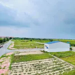 Bán đất 90m² mặt tiền 5m Cẩm Giàng 1,7 tỷ - Ảnh thu nhỏ 3