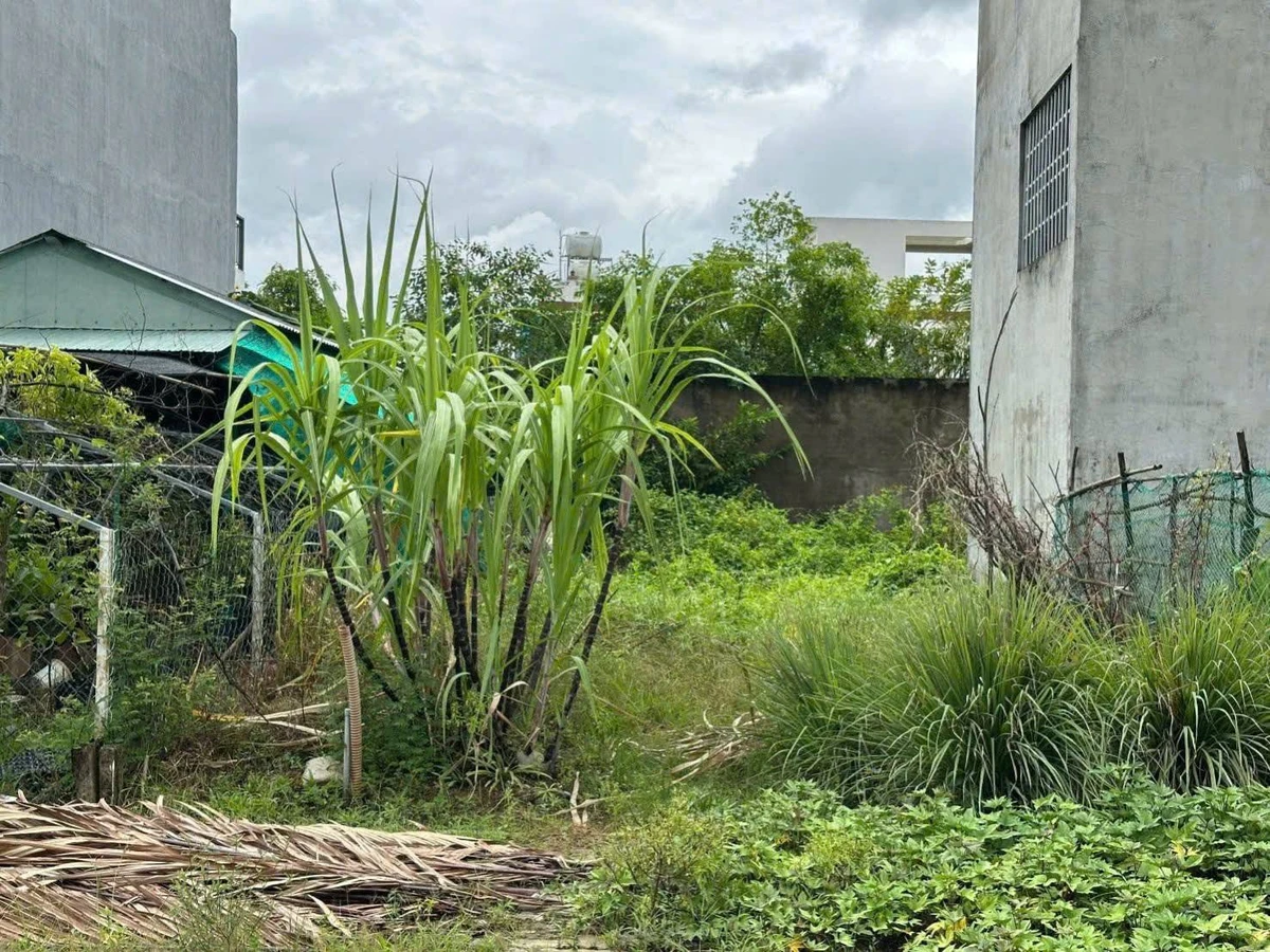 Bán đất thổ cư 5x20m (100m2) sổ riêng gần Bệnh viện Xuyên Á, Đức Hòa, Long An - Ảnh 1