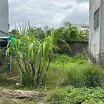 Bán đất thổ cư 5x20m (100m2) sổ riêng gần Bệnh viện Xuyên Á, Đức Hòa, Long An - Ảnh thu nhỏ 1