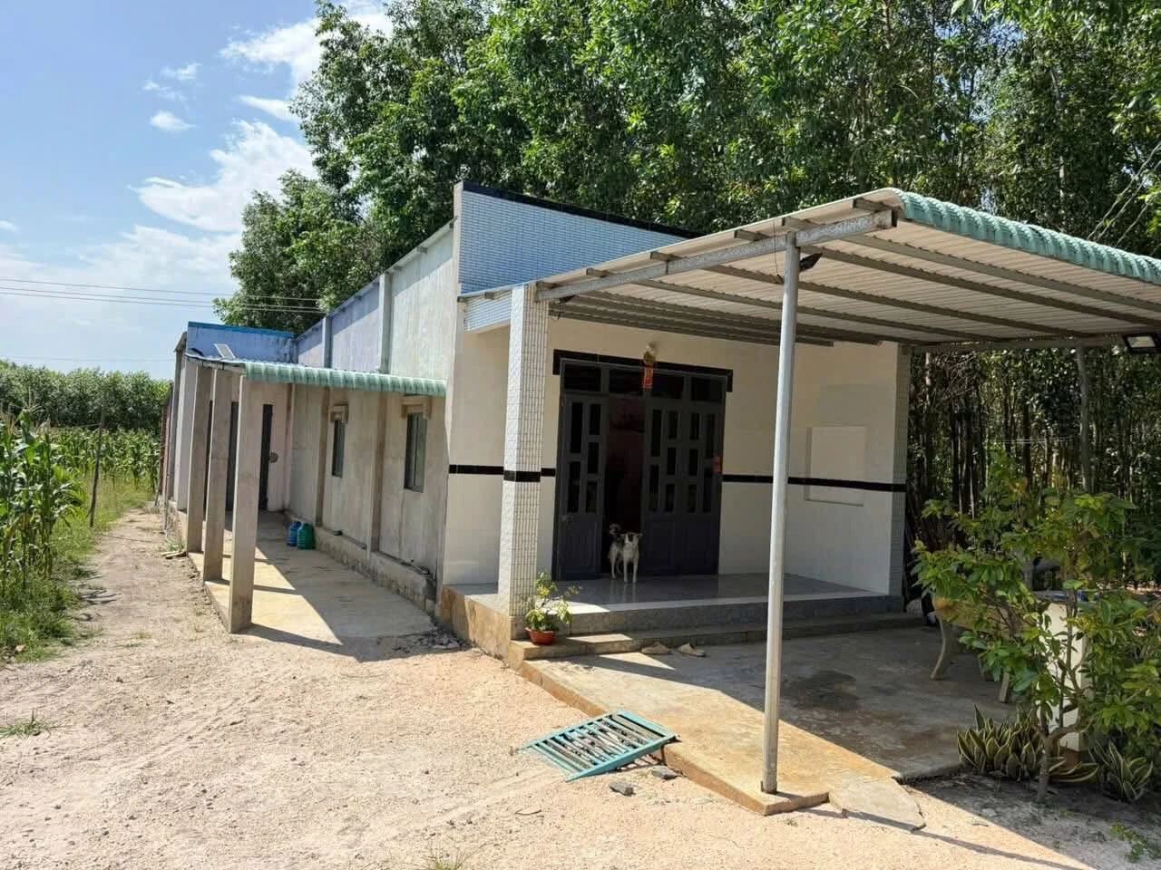 Bán nhà cấp 4 Láng Dài Đất Đỏ 1040m² 800 triệu - Ảnh 1