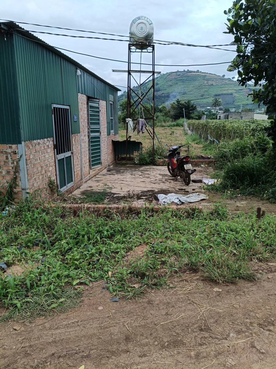 Bán đất Tân Đà Tân Hội 1213 m² 1,1 tỷ - Ảnh thu nhỏ 2