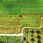 980tr, 1000m2 có thổ cư gần hết đất, gần dự án KCN Hiệp Thạnh, đường bê tông - Ảnh thu nhỏ 16