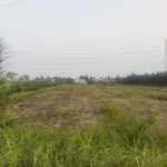 Bán đất vườn 3000m2 mặt tiền kênh Xã Lương Hòa Bến Lức - Ảnh thu nhỏ 2