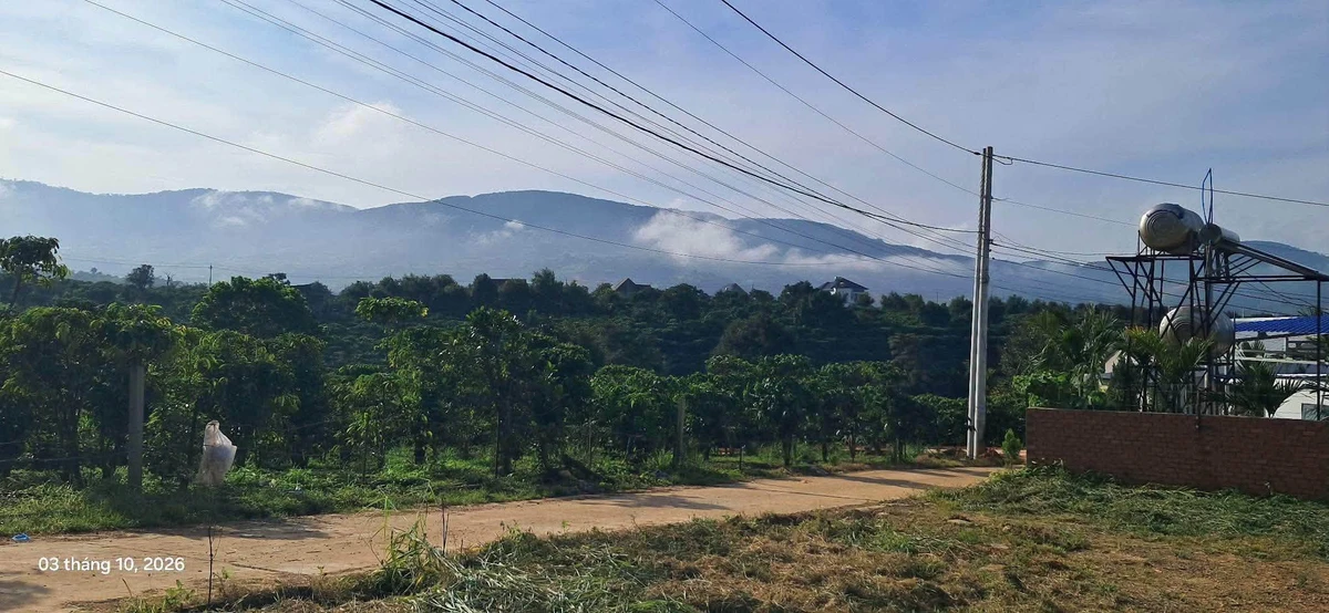 Bán đất Lâm Hà 400m² view Phật Quan Âm 1,15 tỷ - Ảnh thu nhỏ 4