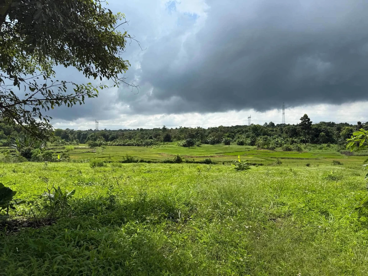Bán lô đất sào thổ cư 300m2 view cánh đồng xã Ea Nuol, cách TP Buôn Ma Thuột 7km, giá 3,999 tỷ - Ảnh thu nhỏ 4