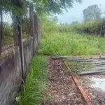 Bán nền thổ cư góc 2 mặt tiền 500m² Thủ Thừa Long An - Ảnh thu nhỏ 1