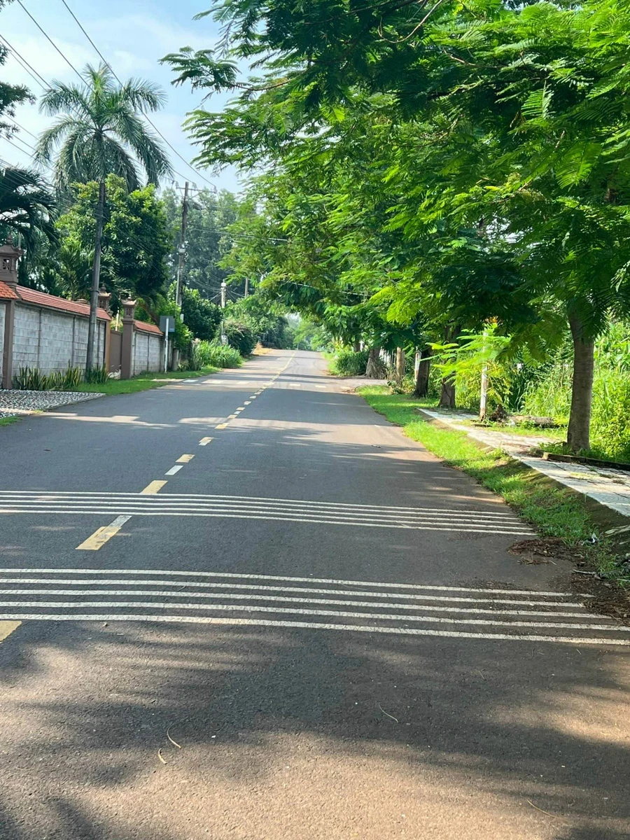 Bán đất Hưng Lộc Dầu Giây 5x24m sổ riêng 700 triệu - Ảnh thu nhỏ 5