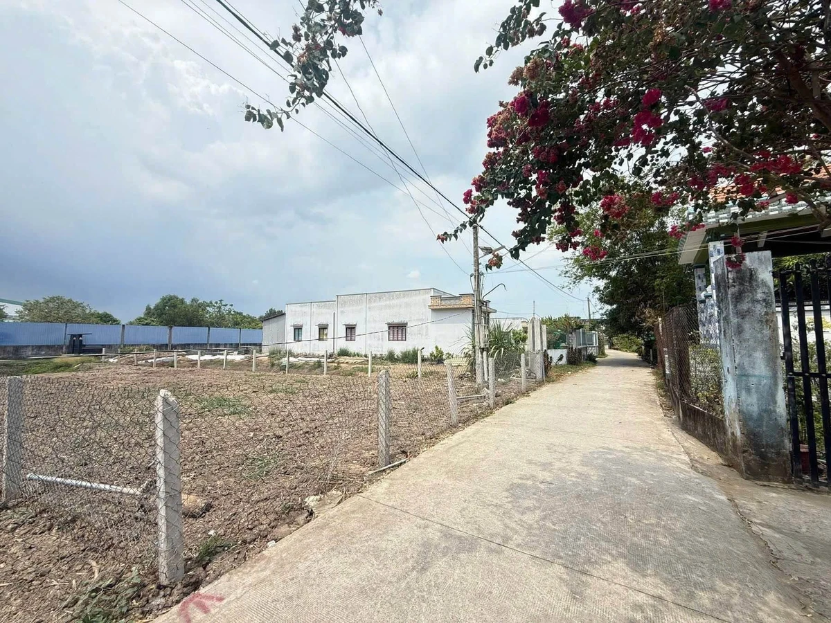 Bán 2 nền đất 500m² Trường Nguyễn Đình Chiểu Mỹ Lộc - Ảnh 1