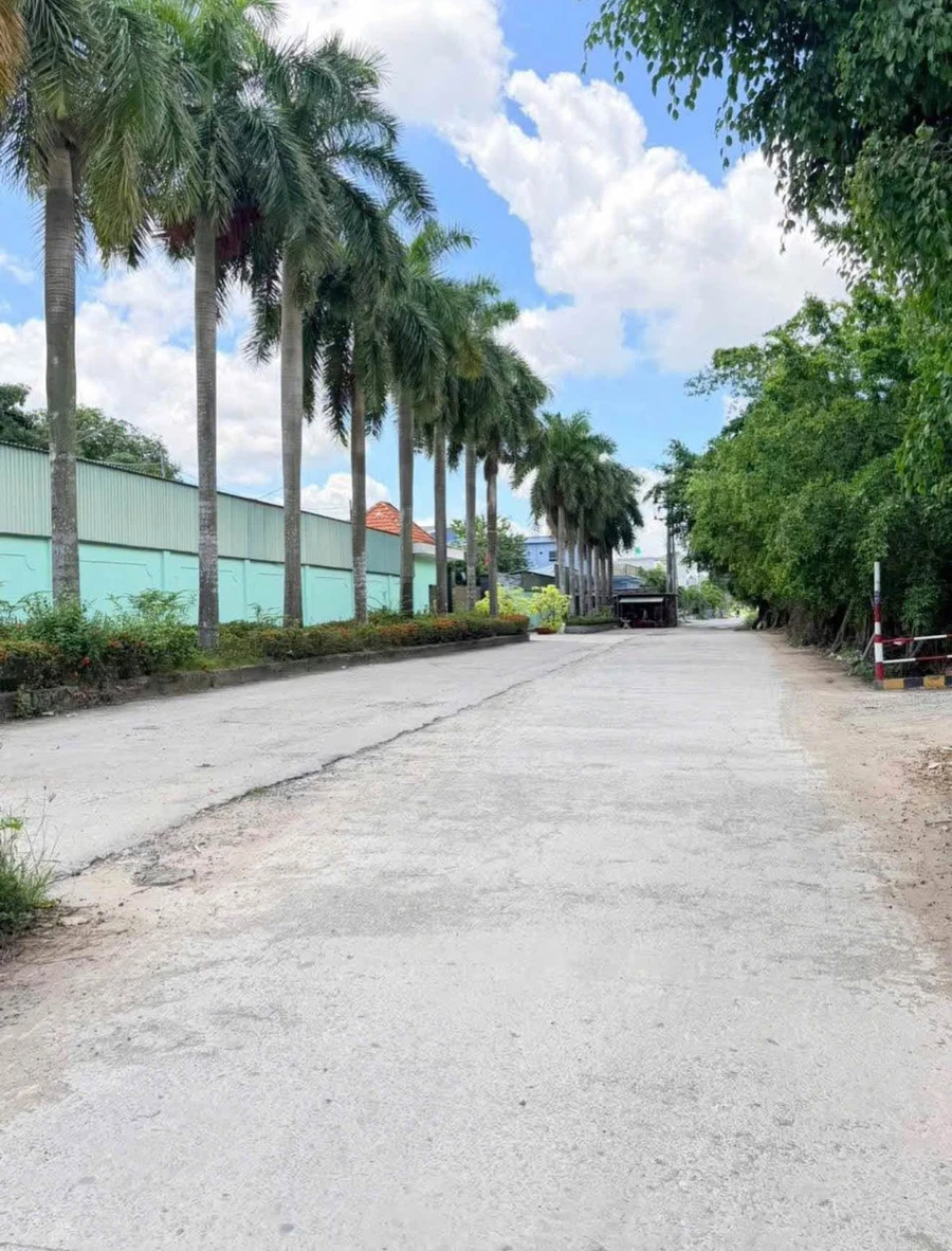 Bán 2000m² đất Bến Lức Long An, giá 12,5 tỷ - Ảnh thu nhỏ 5