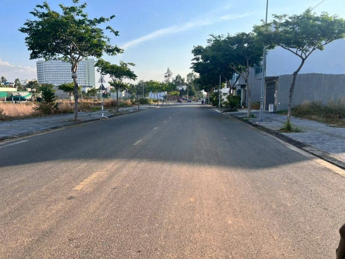 Bán lô đất mặt tiền Nguyễn Thái Học Long Tâm 100m2 - Ảnh thu nhỏ 3