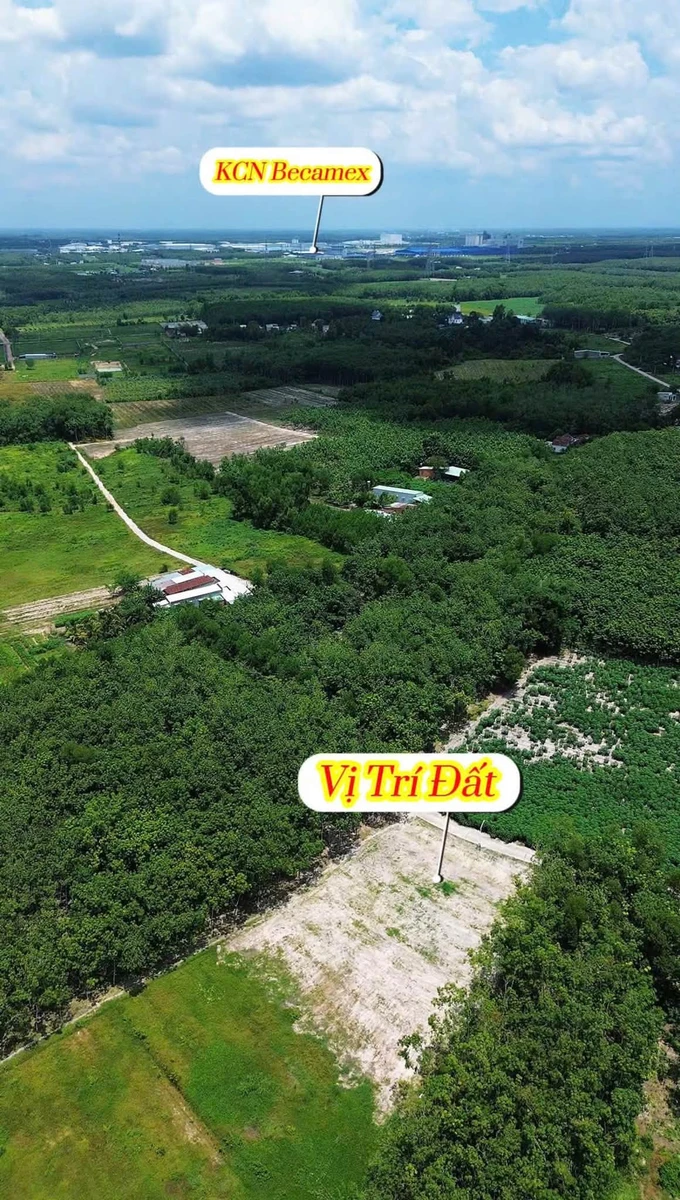 Bán đất sào 4700m² view suối, thổ cư 100m², Bình Dương 1 tỷ 350 - Ảnh thu nhỏ 3