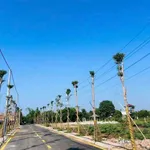 Bán đất nền sổ riêng thổ cư Bửu Long 400 triệu - Ảnh thu nhỏ 3