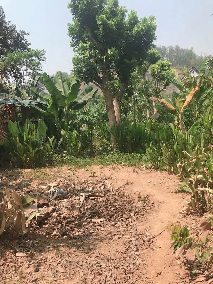 Bán lô đất Him Lam 1 Điện Biên 299m² mặt tiền 10.47m giá 1.36 tỷ - Ảnh thu nhỏ 2