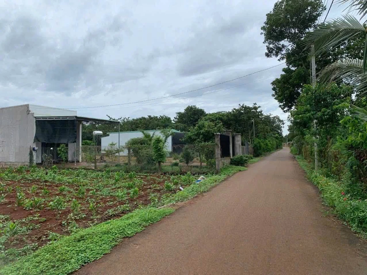 Bán đất 1000m² Xã Kim Long, Nhà Bè - Ảnh thu nhỏ 2