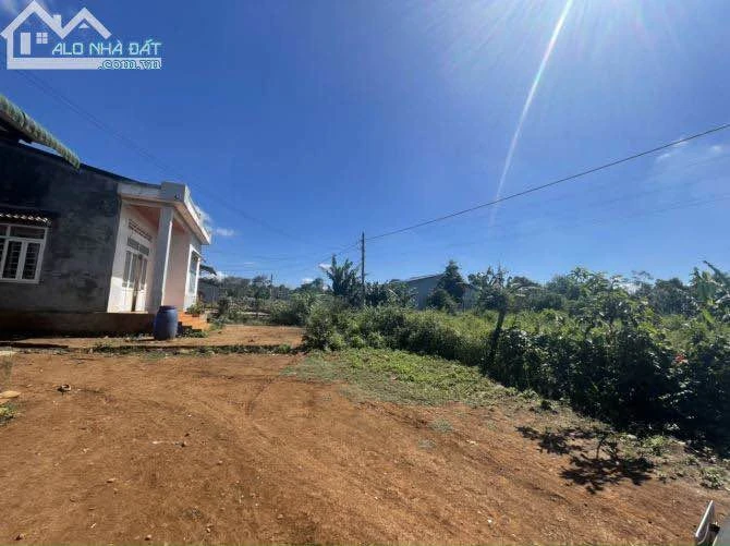 Bán đất thổ cư 180m² góc 2 mặt tiền Km19 Quốc Lộ 26 - Ảnh thu nhỏ 5