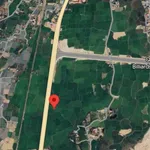 Bán đất lúa mặt tiền QL1A Nhà Bè 2919m2 - Ảnh thu nhỏ 5