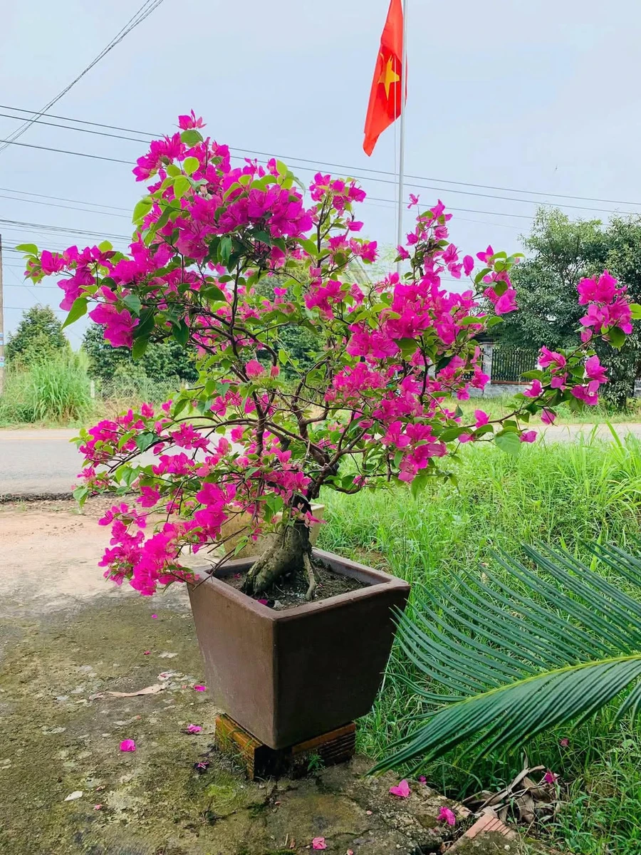 Bán đất Củ Chi 1200m² giá 80 triệu/m² - Ảnh 1
