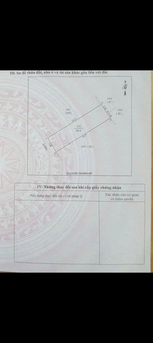Bán đất ngõ Phạm Đình Toái 100m² 3 tỷ - Ảnh 1