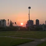 Giảm hơn 1 tỷ bán nhà mặt tiền Lý Tự Trọng, vị trí có 1 không 2, đang có sẵn HĐ thuê - Ảnh thu nhỏ 2