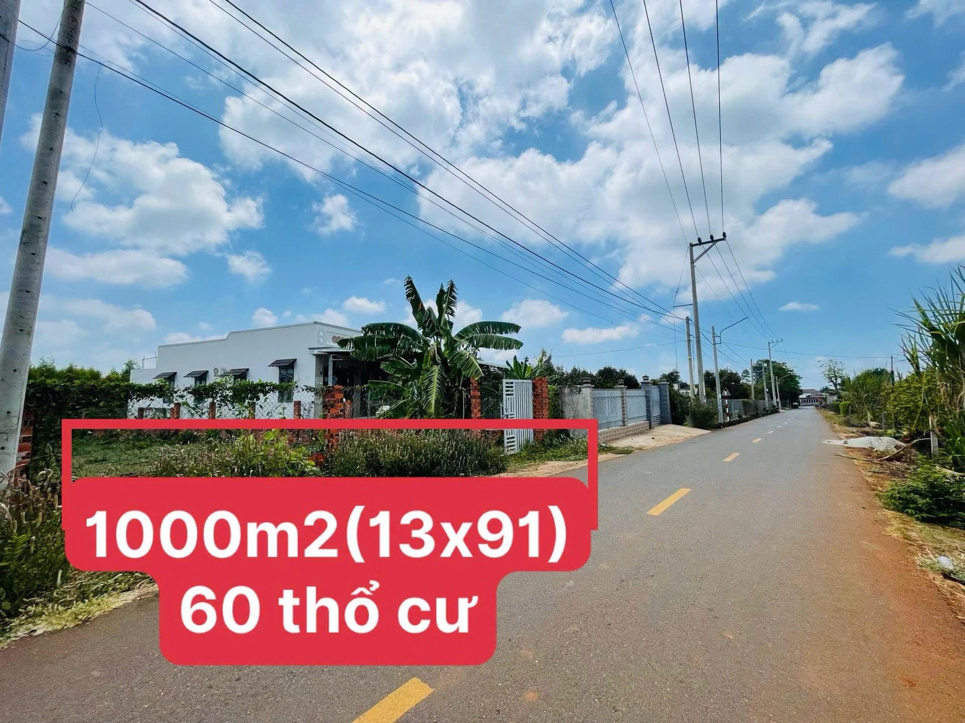 Bán đất 1000m2 mặt tiền đường Lê Thị Hồng Gấm, Long Đất, Bà Rịa–Vũng Tàu - Ảnh 1
