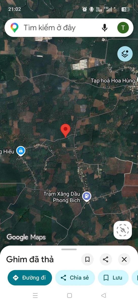 Bán đất 1ha55 mặt tiền 110m Đông Phú, Bình Phước 3 tỷ 350 - Ảnh thu nhỏ 2