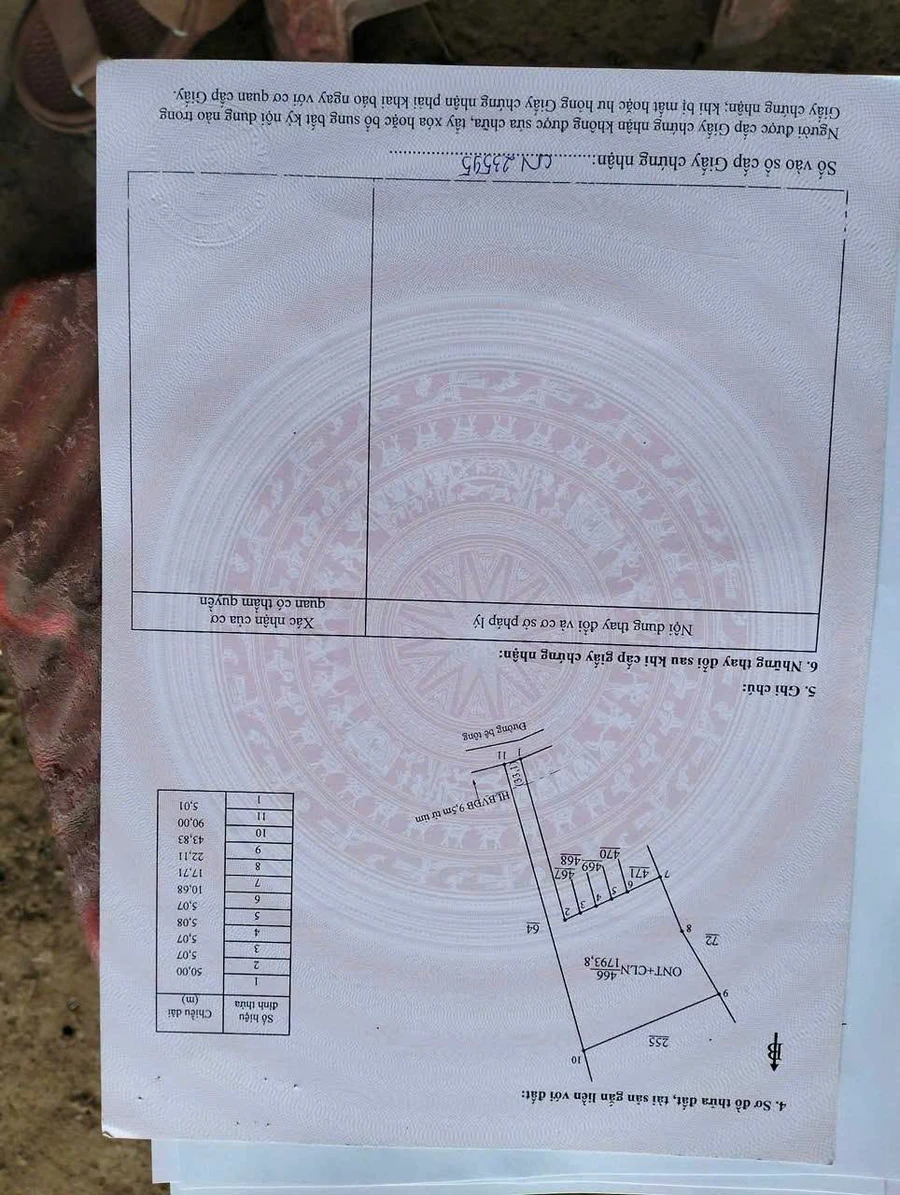 Bán đất làm nhà vườn 100m² Nhà Bè, gần UBND Tân Hưng, giá 6xx triệu - Ảnh thu nhỏ 3