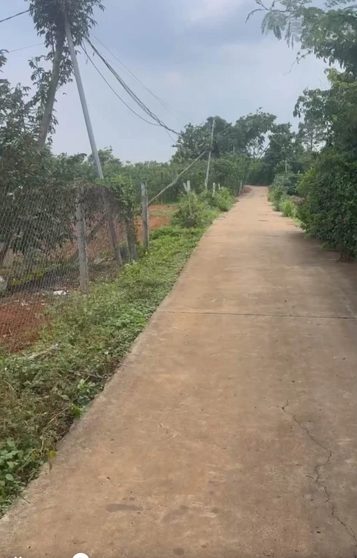 Bán nhanh 1500m² đất Cẩm Mỹ, Đồng Nai chỉ 1 tỷ