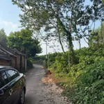 Bán mảnh vườn 4000m² tại Yên Thế, Bắc Ninh - Ảnh thu nhỏ 3