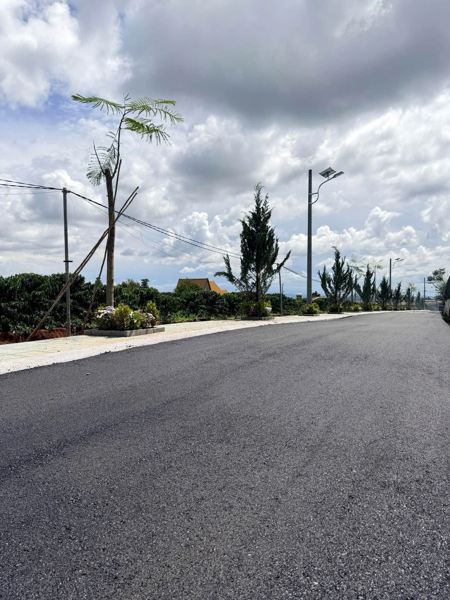 Bán đất thổ cư Tân Hà Lâm Đồng 210m² 570 triệu - Ảnh 1