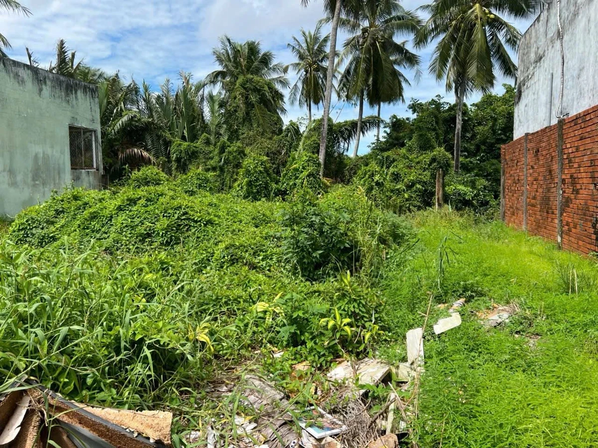 Bán đất hẻm Hai Bà Trưng 315m² Rạch Giá, An Giang - Ảnh thu nhỏ 2