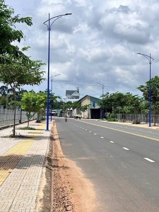 Bán đất mặt tiền 8x20m tại Long Phước, Bà Rịa - Ảnh thu nhỏ 2