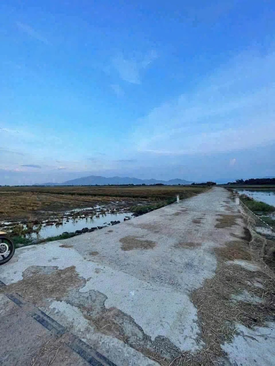Bán đất Lúa Diên Sơn 1000m2 giá 169 triệu - Ảnh thu nhỏ 4