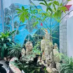 Bán nhà 3 tầng 121.6m2 đường Nguyễn Xuyển, Nha Trang, 3.6 tỷ - Ảnh thu nhỏ 2