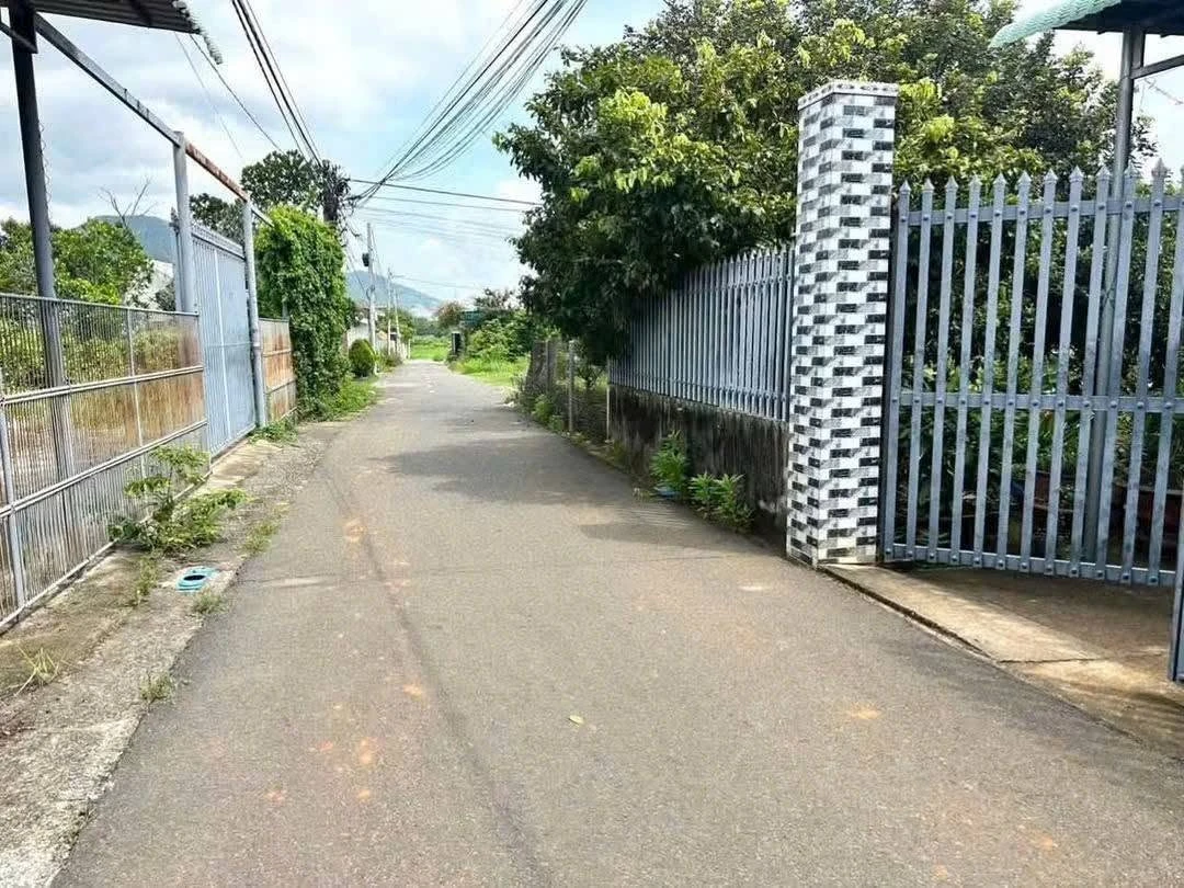 Bán 2 sào đất 2046m2 có nhà cấp 4, sổ riêng, giá 9,3 tỷ tại Hòa Long, Tam Long - Ảnh 1