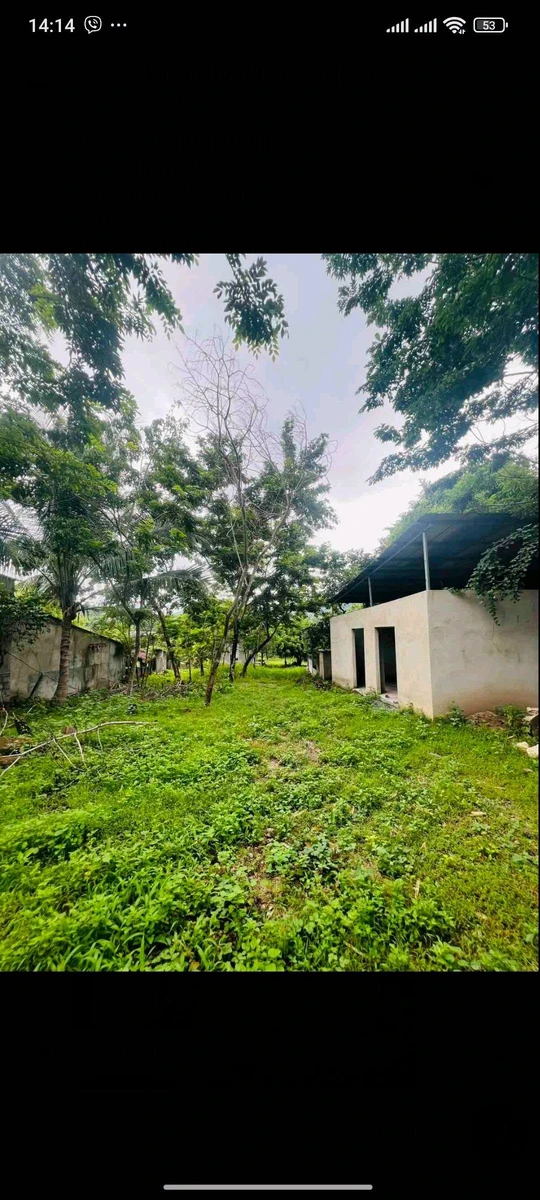 Cho thuê đất mặt tiền Tỉnh Lộ 3 Nha Trang 2000m2 30 triệu/tháng - Ảnh thu nhỏ 3
