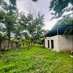 Cho thuê đất mặt tiền Tỉnh Lộ 3 Nha Trang 2000m2 30 triệu/tháng - Ảnh thu nhỏ 3