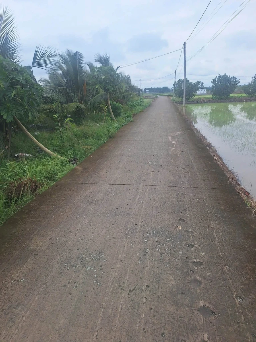Bán đất mặt tiền đường đan 4m Trần Văn Rỉ, Bình Trinh Đông, Tân Trụ, Long An, giá 820 triệu - Ảnh thu nhỏ 2