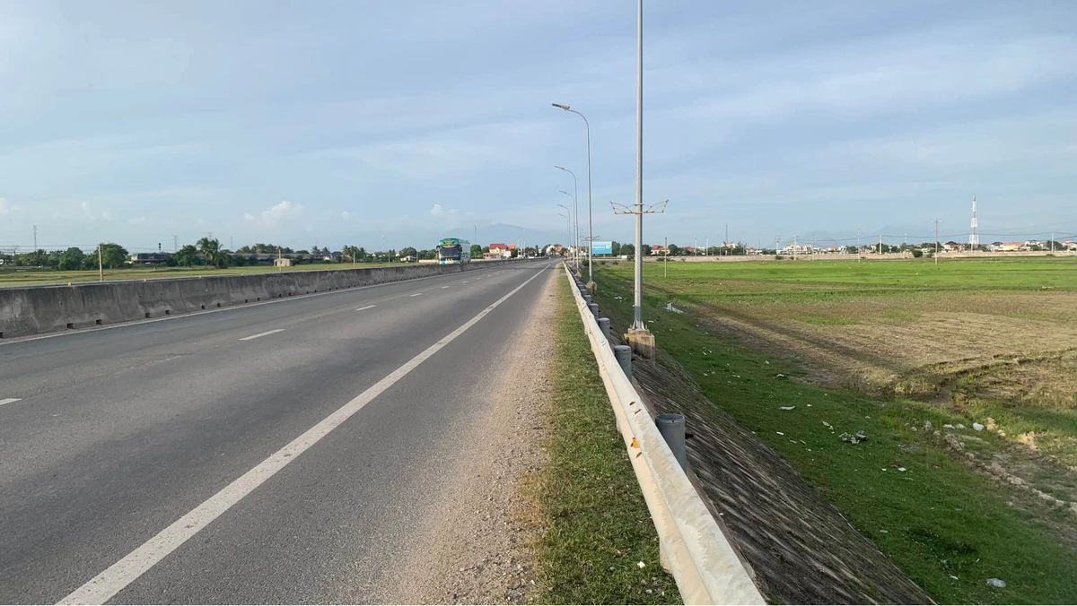 Bán đất lúa mặt tiền QL1A Nhà Bè 2919m2 - Ảnh thu nhỏ 2