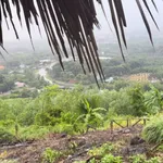 Bán đất vườn 1000m² La Ngà 575 triệu view sông - Ảnh thu nhỏ 1